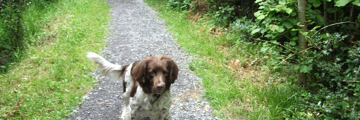 Henderson George Martin banner