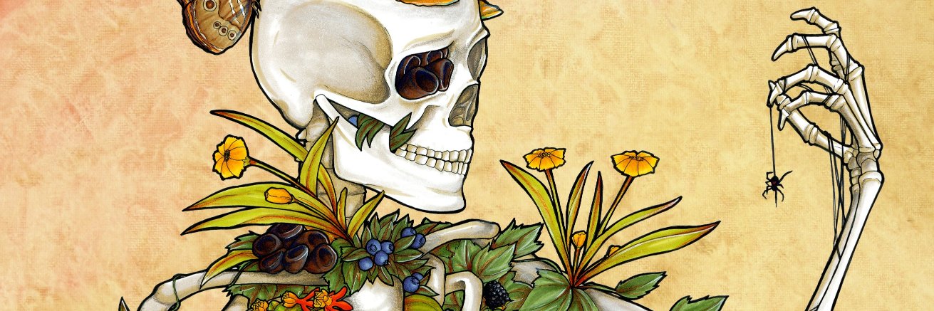 emossillustrate's profile banner image