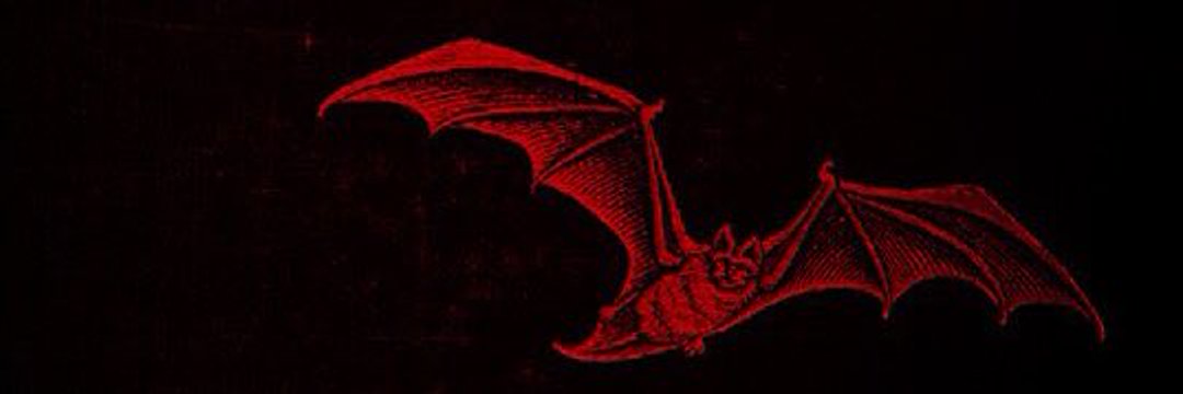 Zerexy's profile banner image
