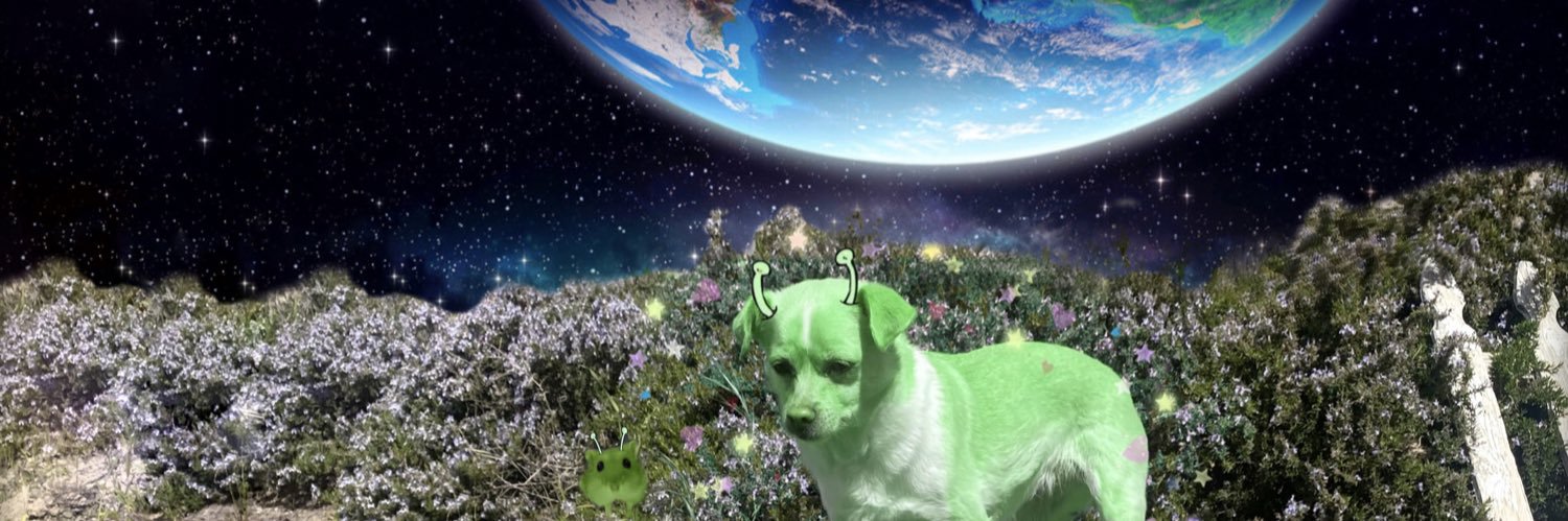 dyingoctopus's profile banner image
