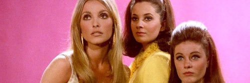 Domestic gothess banner