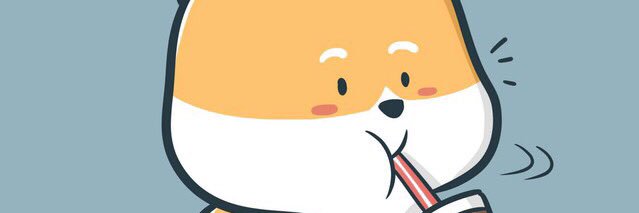 ROM banner