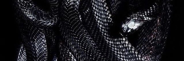 HexKitten12's profile banner image