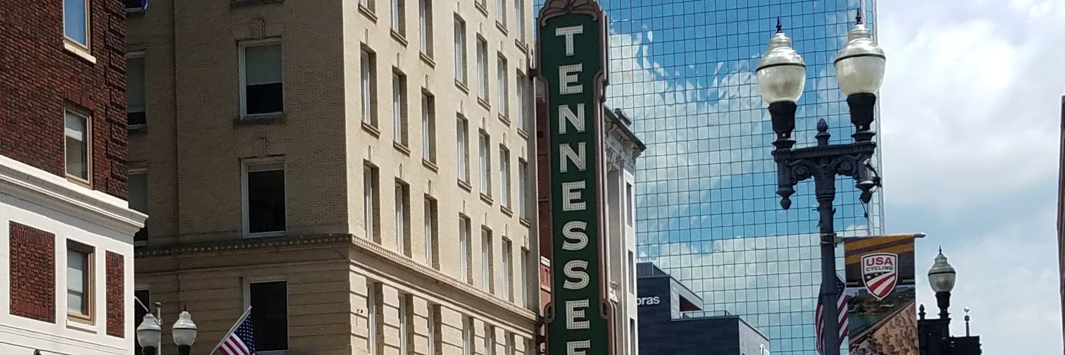 erinwotring's profile banner image