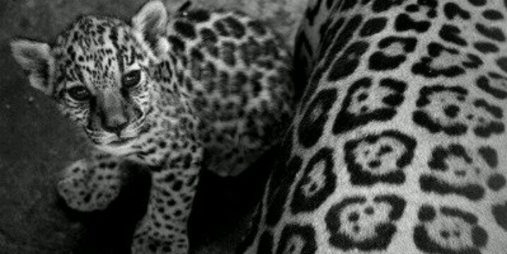 _miiichelle's profile banner image