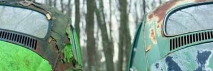 Vicky_1604's profile banner image