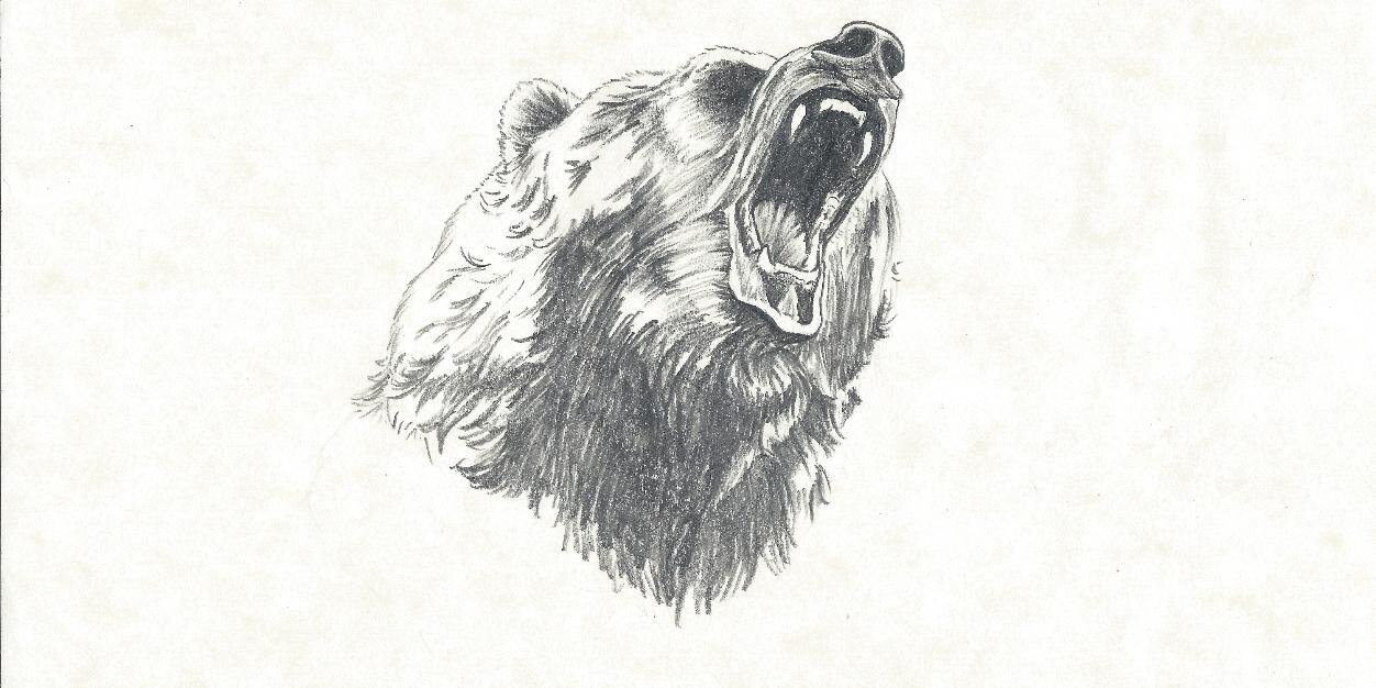 bearandbarrel's profile banner image