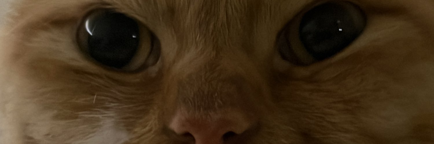 yonatanesli's profile banner image