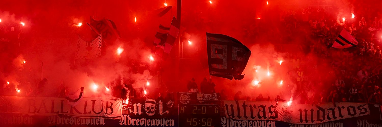 Roger Bremnes banner