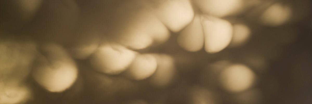jon_denton's profile banner image