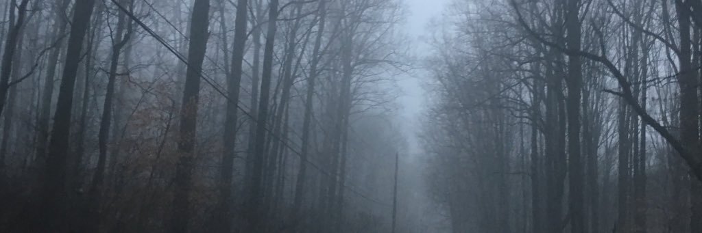 rehrerb's profile banner image