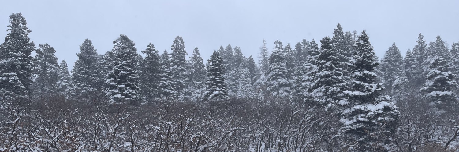 dogfish67's profile banner image