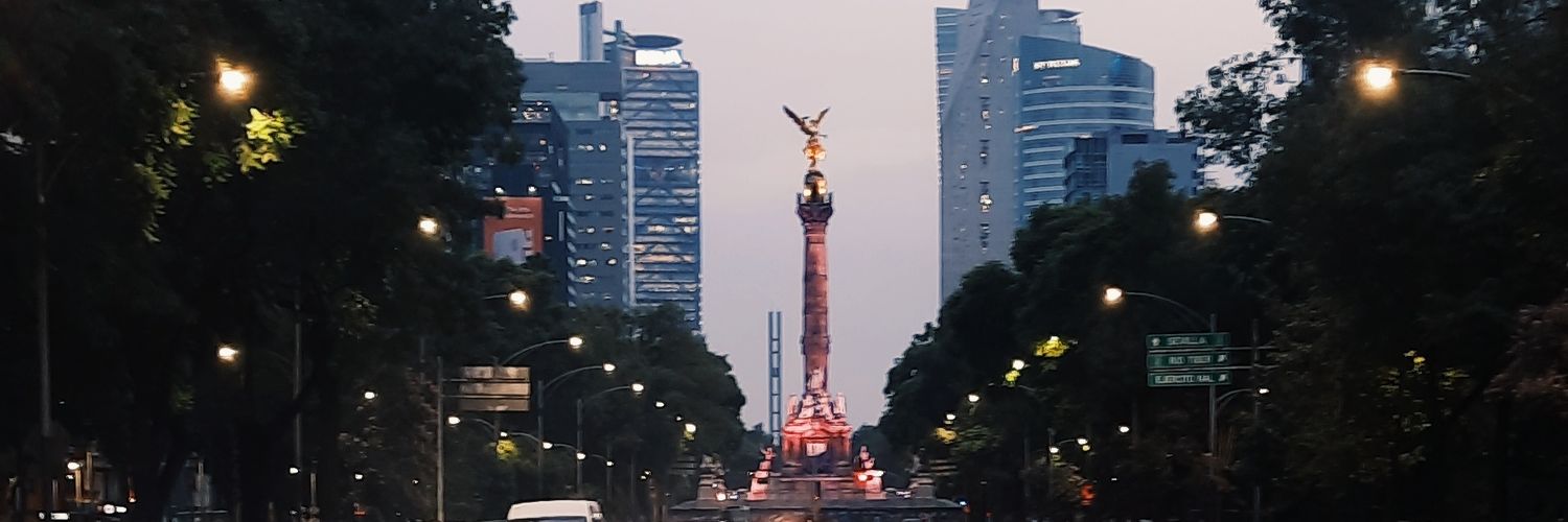 miryjoey's profile banner image