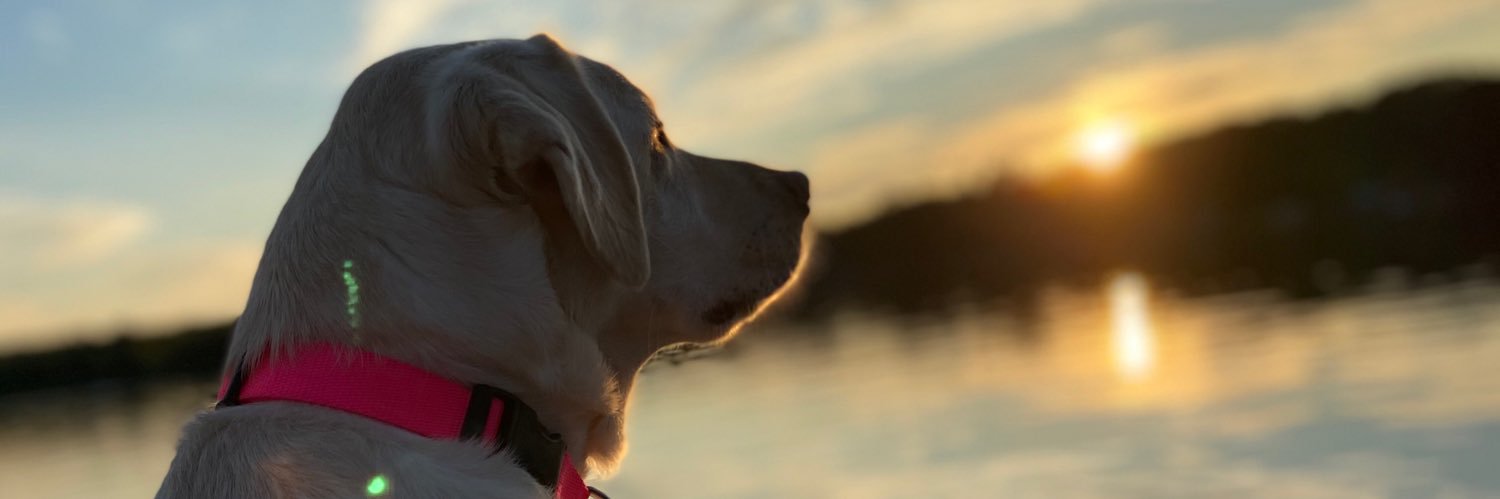 sfritr's profile banner image