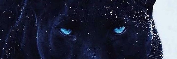 aleeeeex___'s profile banner image