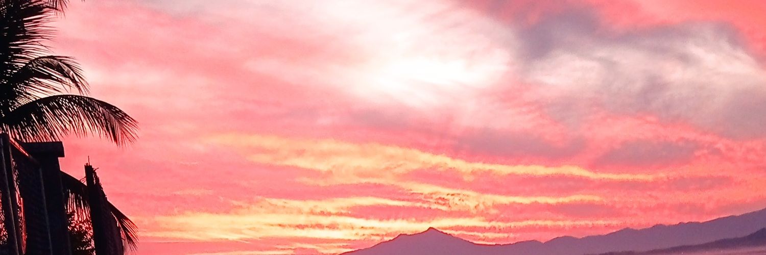 Pablo_R29's profile banner image