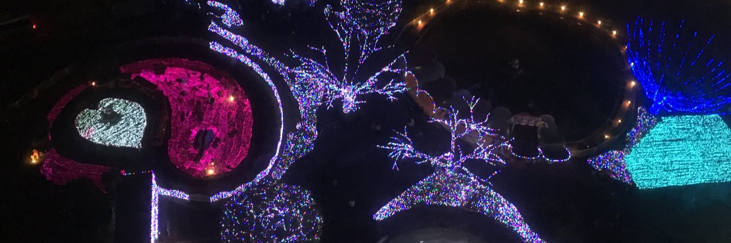 mevius117's profile banner image
