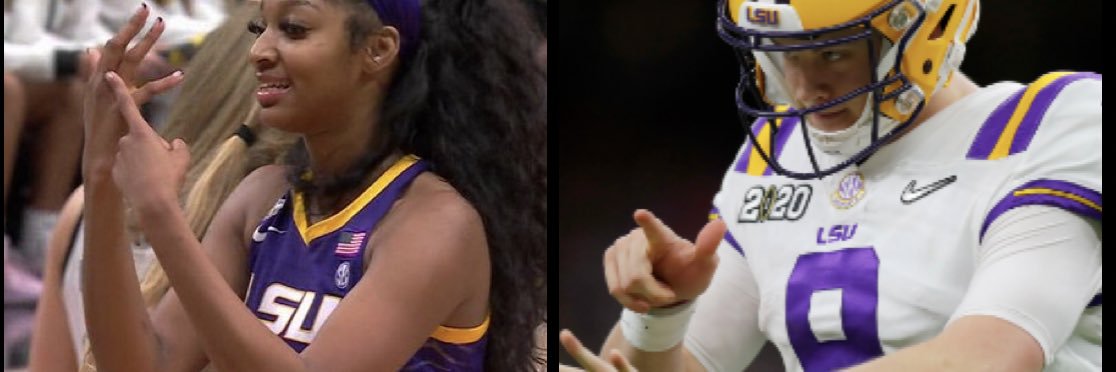 Girl with the Dolphin Tattoo banner