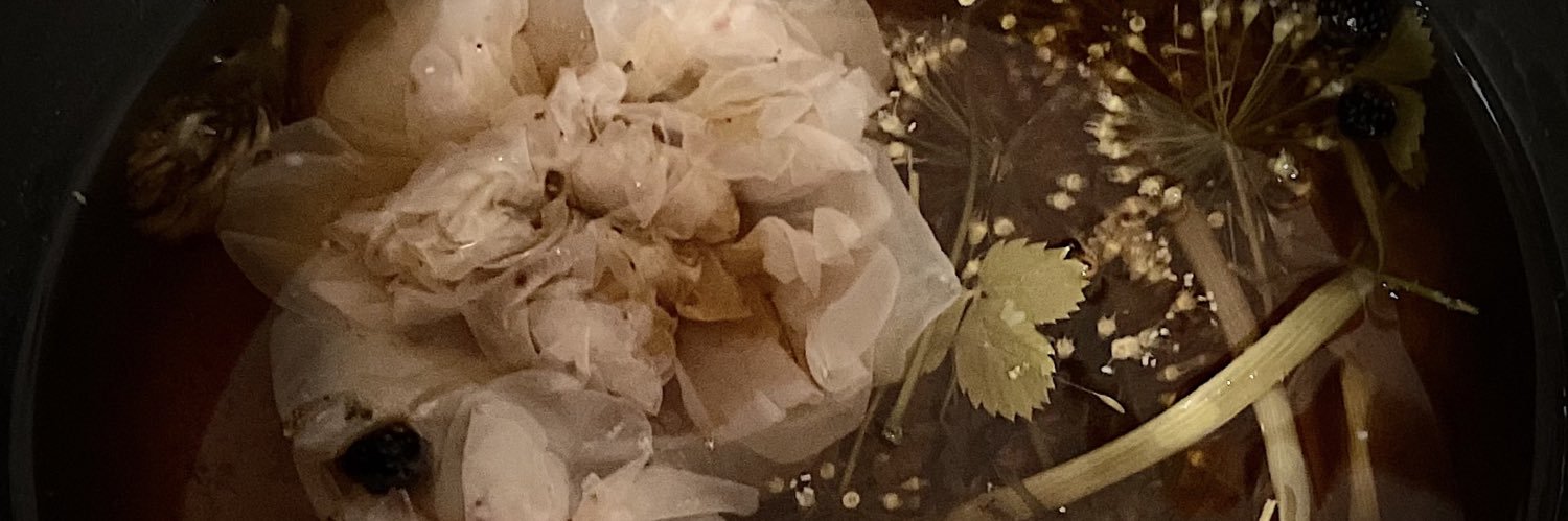 saltine_kween's profile banner image