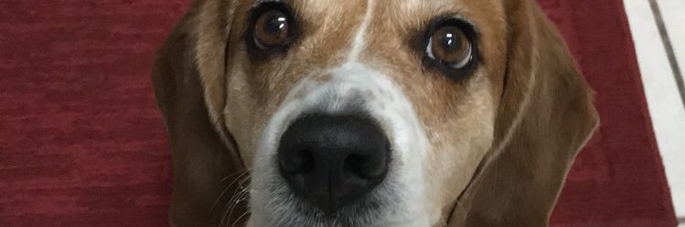 its_alonzo's profile banner image