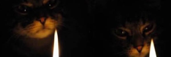 Hans_balvin's profile banner image