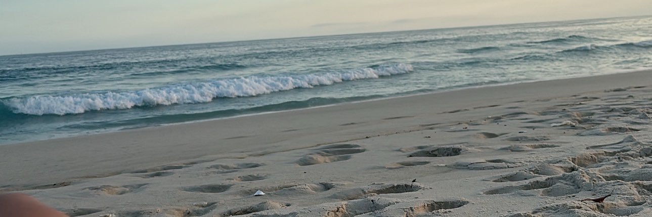 SoffiaEndrigo's profile banner image