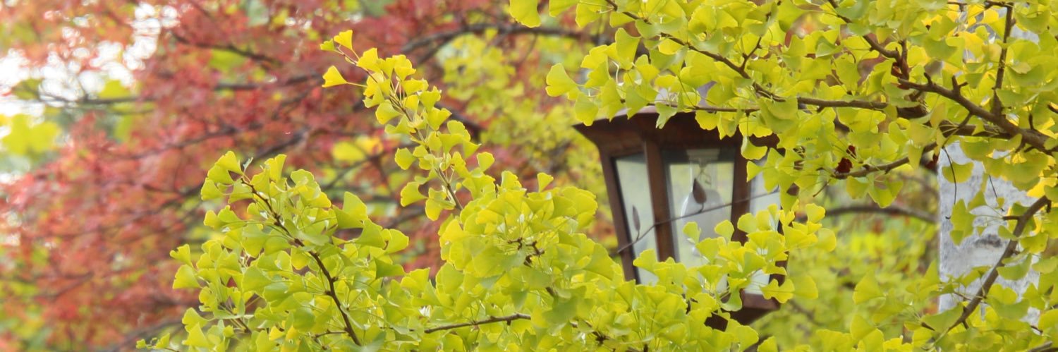 じゅんじゅん banner