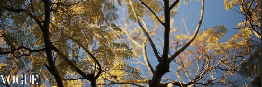 constance iloh griffith banner