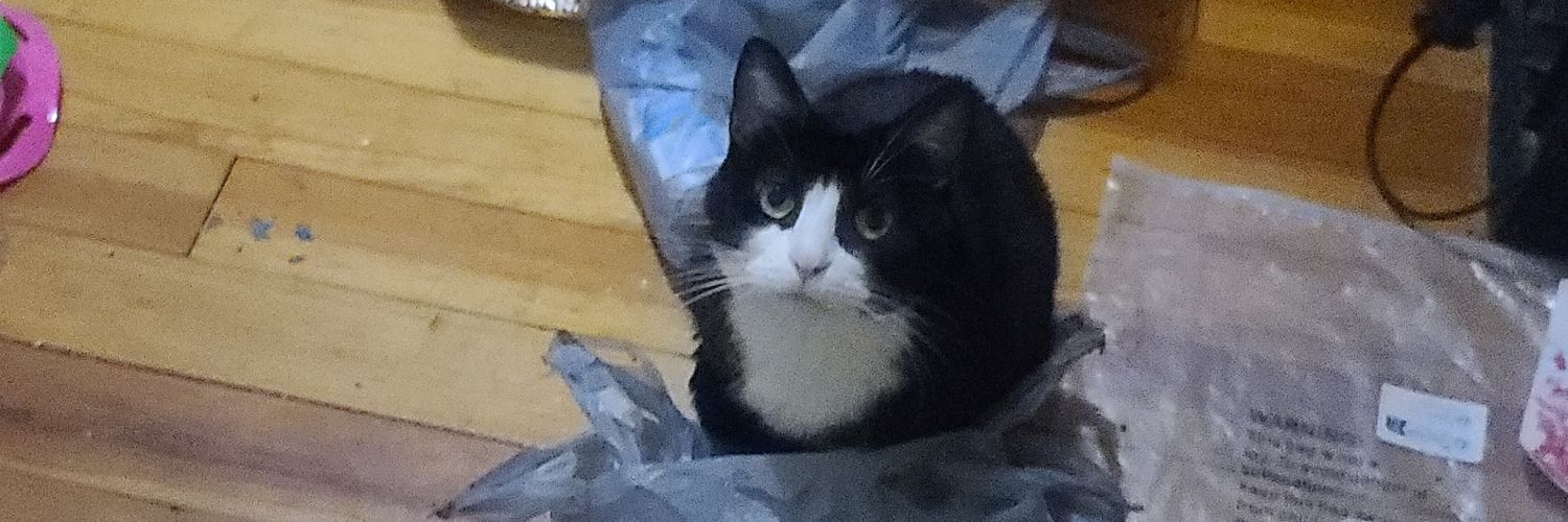 🏮| krysten💛🩷 banner