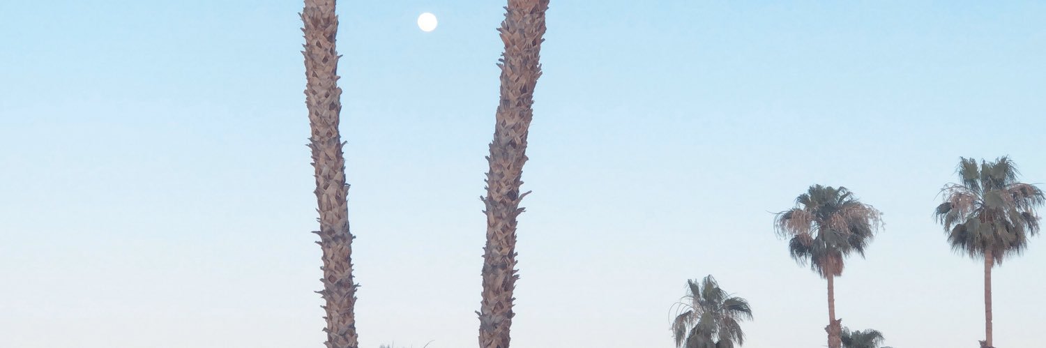 CallieCoffin's profile banner image