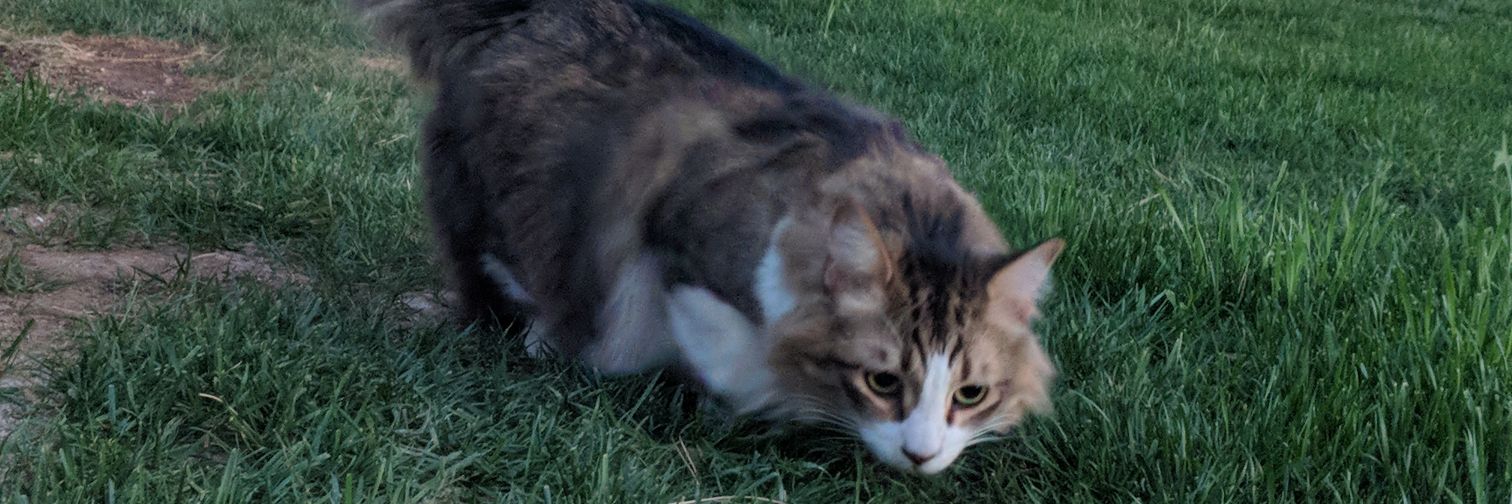 made your mark🏃‍♂️👻 banner