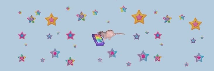 rat with a xylephone banner