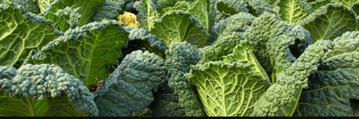 Life34056331's profile banner image