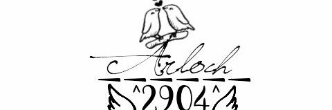 Ocha_2904's profile banner image