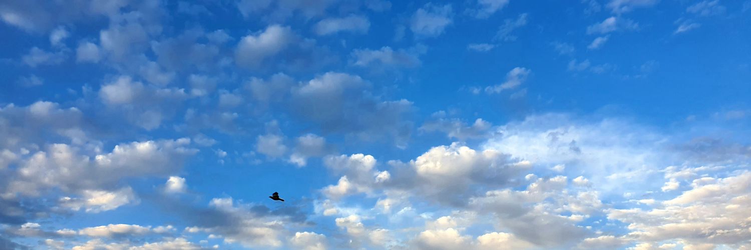 Nishant Ahuja banner