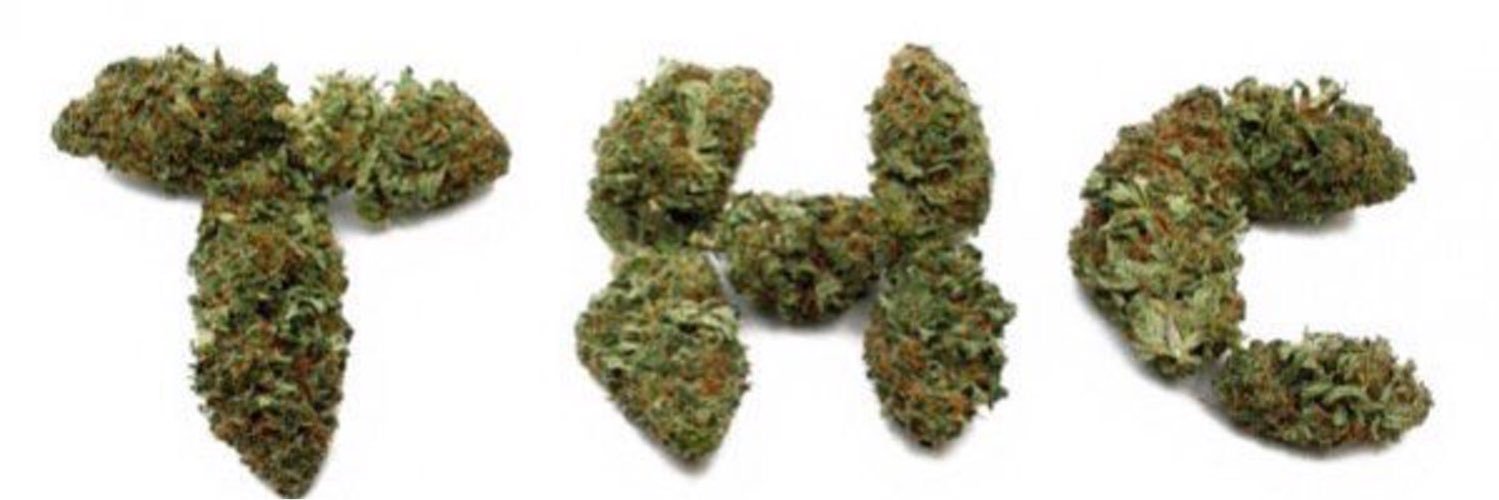 MaineHemp's profile banner image