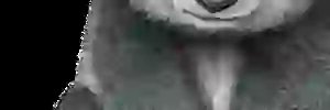 3Lisel's profile banner image