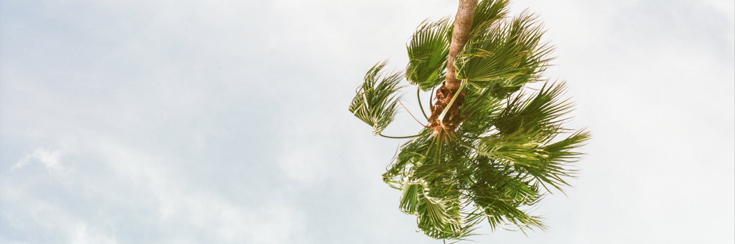 sonice37's profile banner image