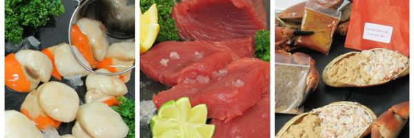 DarwenFish Profile Banner