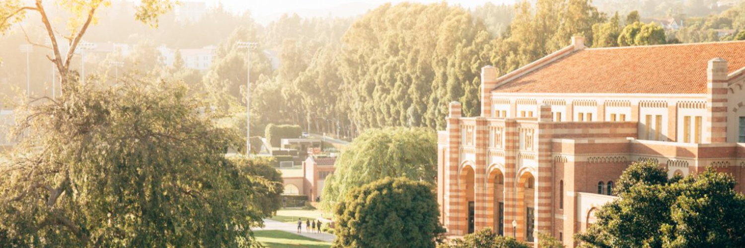 julio_frenk's profile banner image