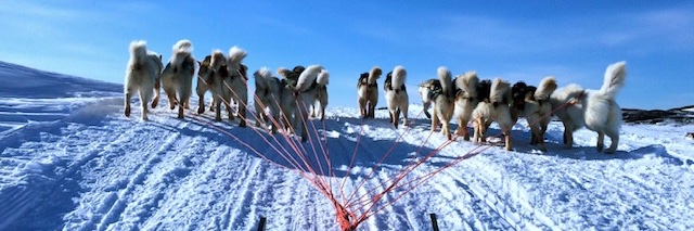 Dr Dwayne Ryan Menezes banner