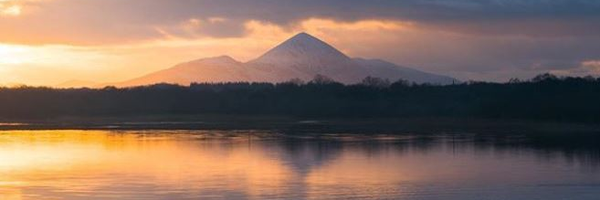 Walsh_BP Profile Banner