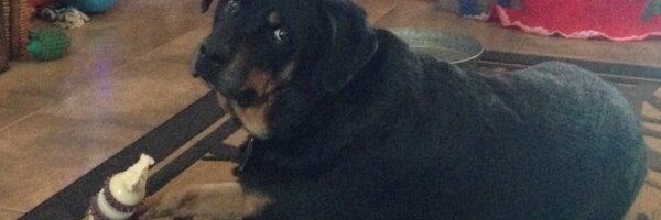 Kelley08Perry Profile Banner