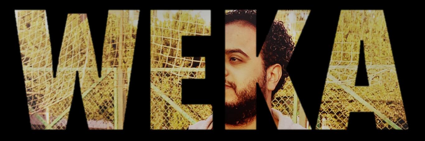 weka301's profile banner image