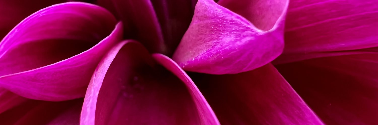 Elia Freedman banner