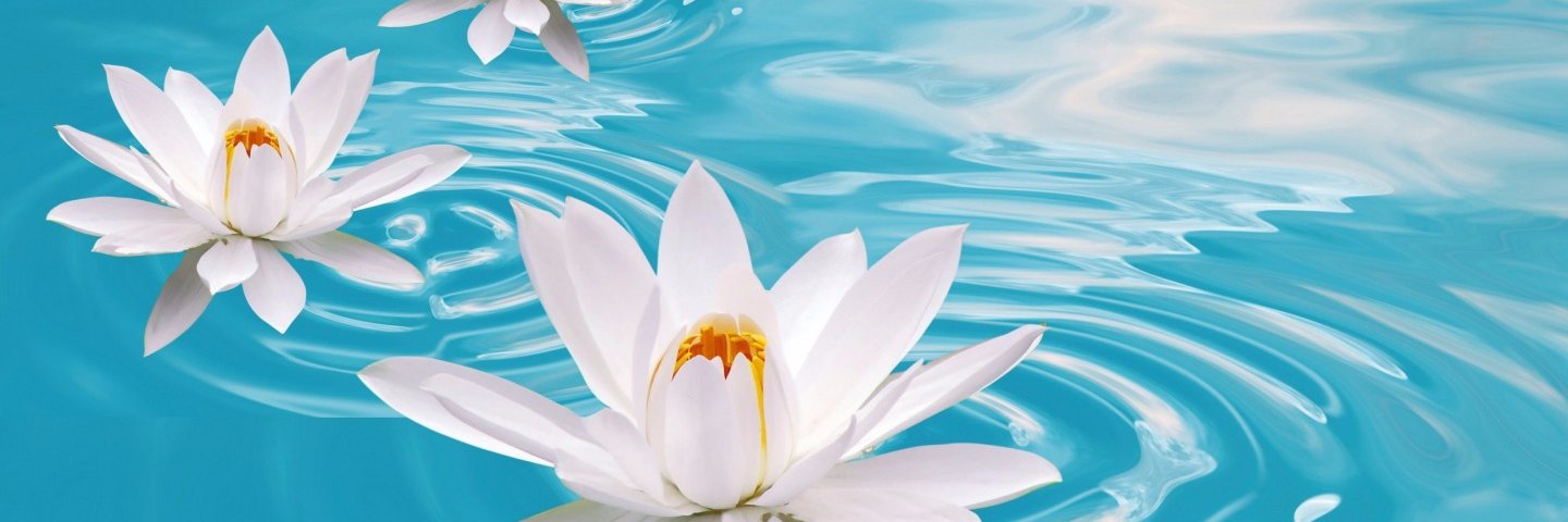 Haydee628's profile banner image