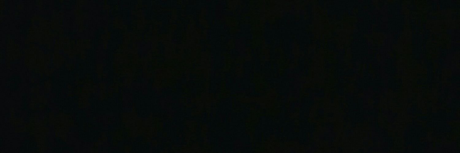 Tolvaaa's profile banner image