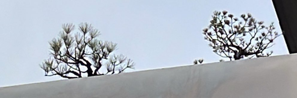 shogyouteimujoy's profile banner image