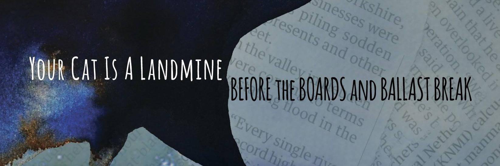 catlandmine's profile banner image