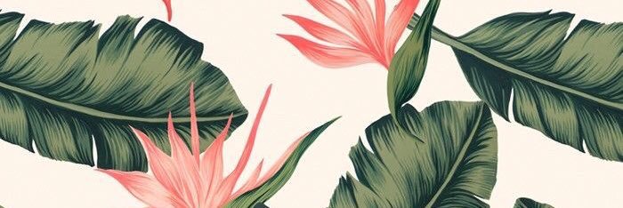 carodomr's profile banner image